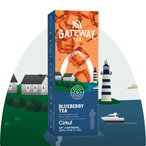 Zero-Calorie Gateway Blueberry Tea BF2I - Vitamin-Infused Natural Refreshing Flavor Core - Default Title